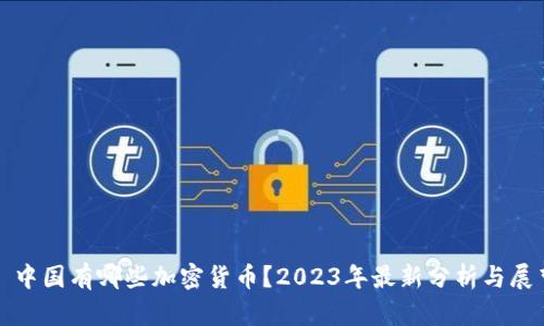 : 中国有哪些加密货币？2023年最新分析与展望