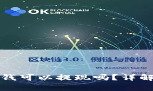 tpwallet里的观察包的钱可以提现吗？详解观察包功能与提现流程