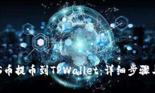 如何将ASS币提币到TPWallet：详细步骤与注意事项