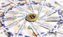   加密货币的圈子：它的群体和特征解析