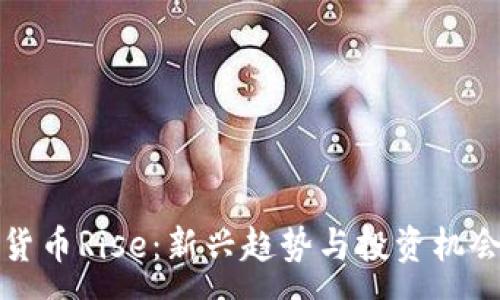 :
加密货币Rise：新兴趋势与投资机会分析