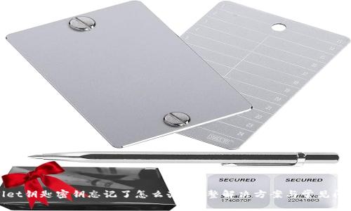 TPWallet钥匙密钥忘记了怎么办？完整解决方案与常见问题解答