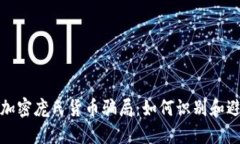 : 揭秘加密庞氏货币骗局：如何识别和避免陷阱