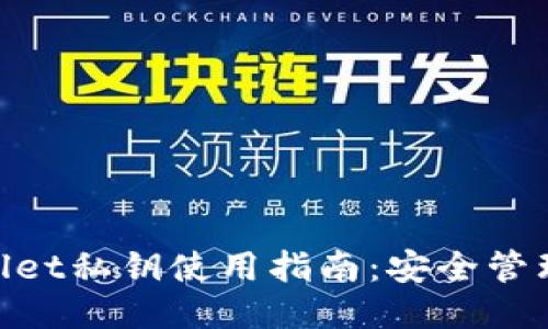 riaotiTPWallet私钥使用指南：安全管理与使用技巧