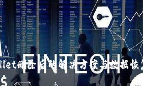 TPWallet删除后的解决方案与数据恢复指南