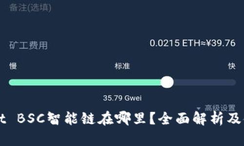 TPWallet BSC智能链在哪里？全面解析及使用指南