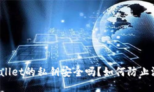 TPWallet的私钥安全吗？如何防止泄露？