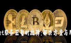 :TPWallet服务器暂时故障：解决方案与用户指南