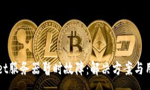 :
TPWallet服务器暂时故障：解决方案与用户指南