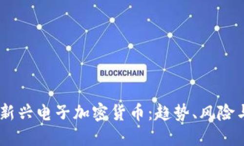 : 2023年新兴电子加密货币：趋势、风险与投资机会