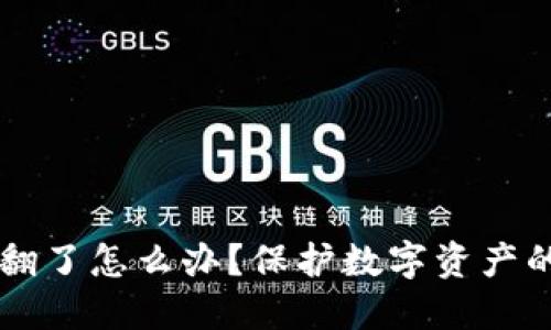 TPWallet被翻了怎么办？保护数字资产的全方位指南