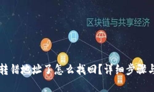 TPWallet转错地址了怎么找回？详细步骤与解决方案