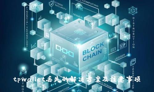 tpwallet丢失的解决方案及注意事项