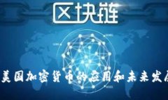  美国加密货币的应用和未来发展