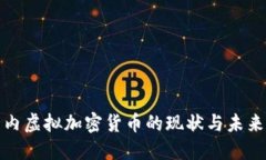 : 国内虚拟加密货币的现状与未来展望
