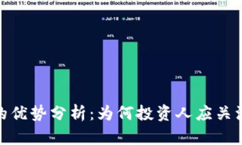 加密货币的优势分析：为何投资人应关注其潜力股
