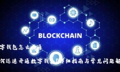 数字钱包怎么开通如何迅速开通数字钱包？详细