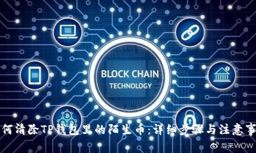 如何清除TP钱包里的陌生币：详细步骤与注意事项