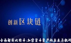 全面解析比特币：加密货币资产的未来与挑战