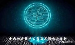 十大加密货币公司及其影响力分析