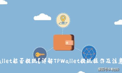 TPWallet能否提现？详解TPWallet提现操作及注意事项