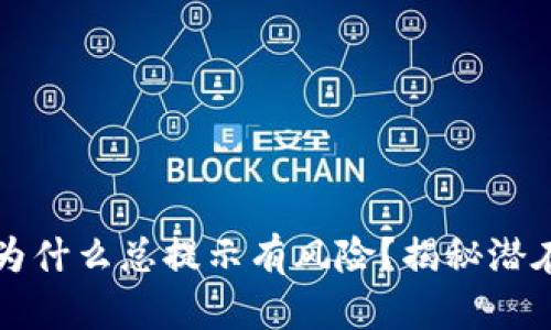 : 下载TPWallet为什么总提示有风险？揭秘潜在问题与解决方案