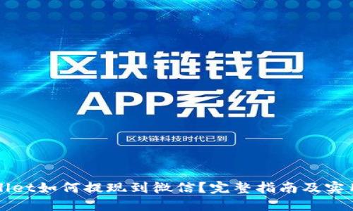 TPWallet如何提现到微信？完整指南及实用技巧