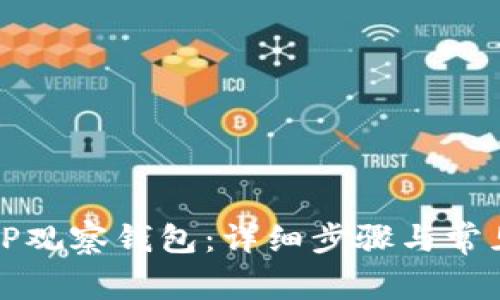 如何创建TP观察钱包：详细步骤与常见问题解答