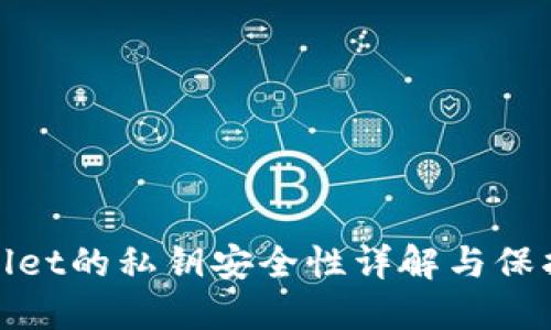 TPWallet的私钥安全性详解与保护措施