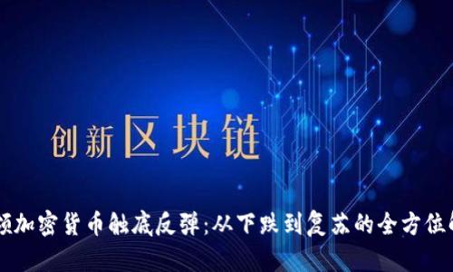 带领加密货币触底反弹：从下跌到复苏的全方位解析