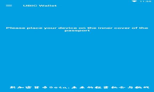  新加密货币Beta：未来的投资机会与挑战