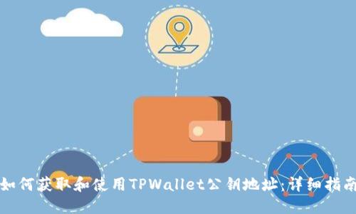 如何获取和使用TPWallet公钥地址：详细指南