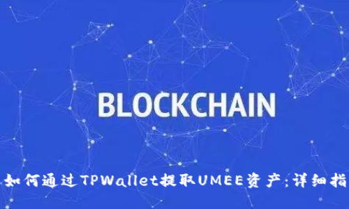 : 如何通过TPWallet提取UMEE资产：详细指南