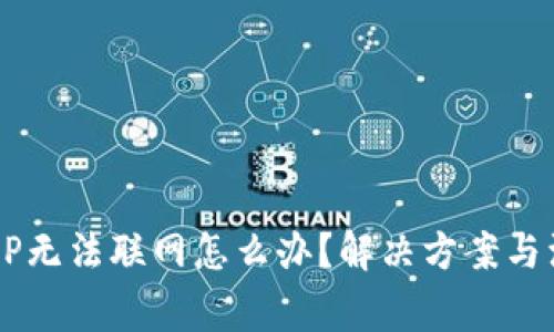  钱包APP无法联网怎么办？解决方案与注意事项