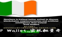 如何使用 TP Wallet 实现批量开户：详细指南