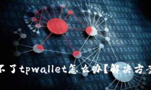 : 苹果手机下载不了tpwallet怎么办？解决方案与常见问题解析