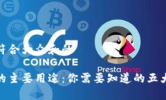 思考一个符合大众和的加密货币的主要用途：你