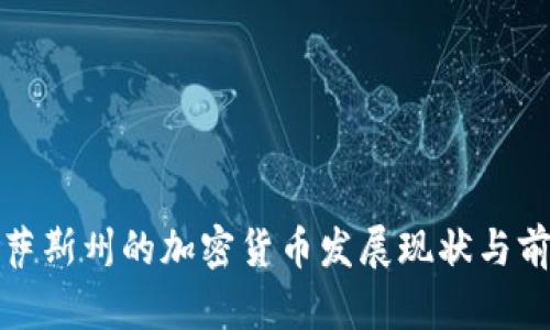 : 得克萨斯州的加密货币发展现状与前景分析