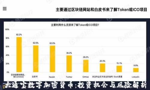 
大通宝数字加密货币：投资机会与风险解析