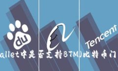 TPWallet中是否支持BTM（比特币门票）？