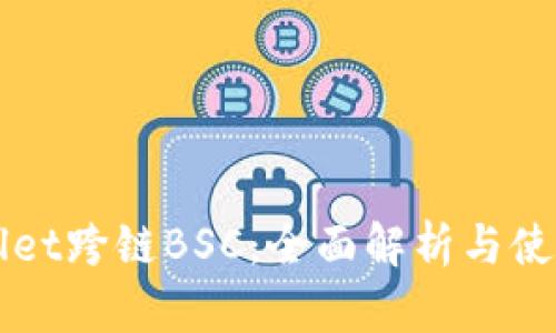 TPWallet跨链BSC：全面解析与使用指南