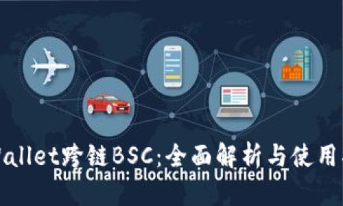 TPWallet跨链BSC：全面解析与使用指南