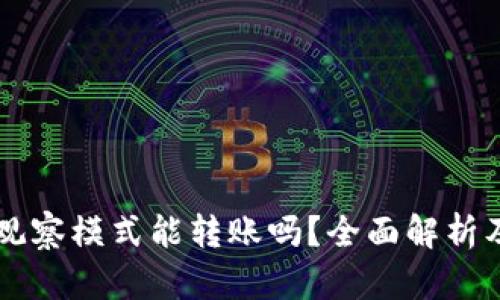 TPWallet观察模式能转账吗？全面解析及使用指南