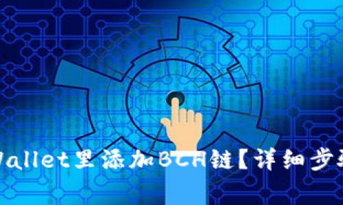 : 如何在TPWallet里添加BCH链？详细步骤与注意事项