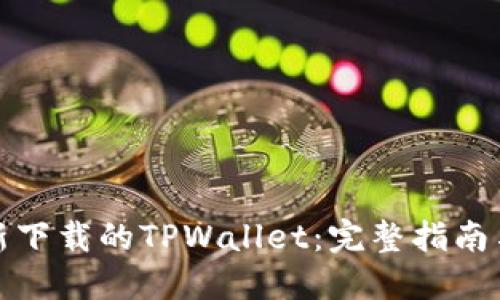 如何导入新下载的TPWallet：完整指南与实用技巧