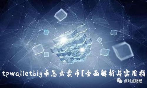 : tpwalletbig币怎么卖币？全面解析与实用指南
