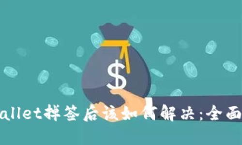 TPWallet掉签后该如何解决：全面指南